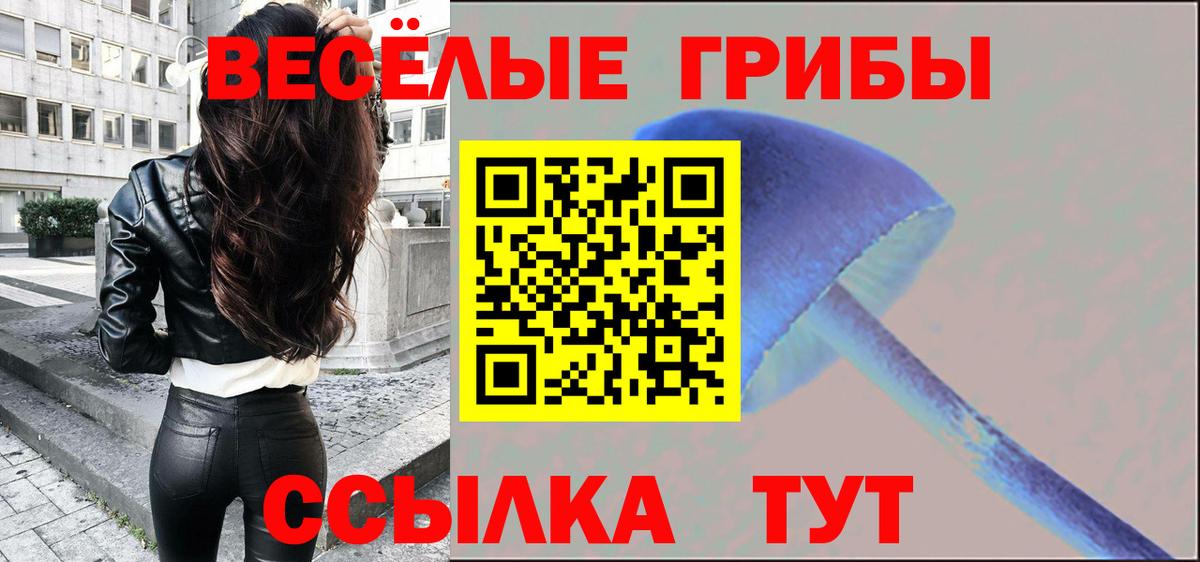 Галлюциногенные грибы Cubensis Балашиха